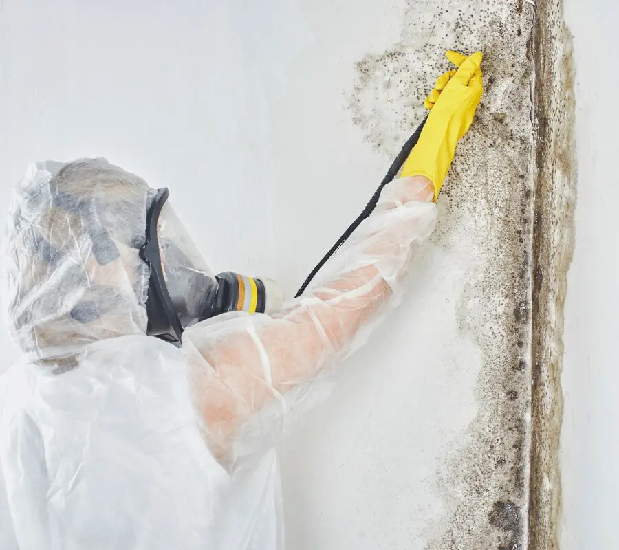 Mold-Removal